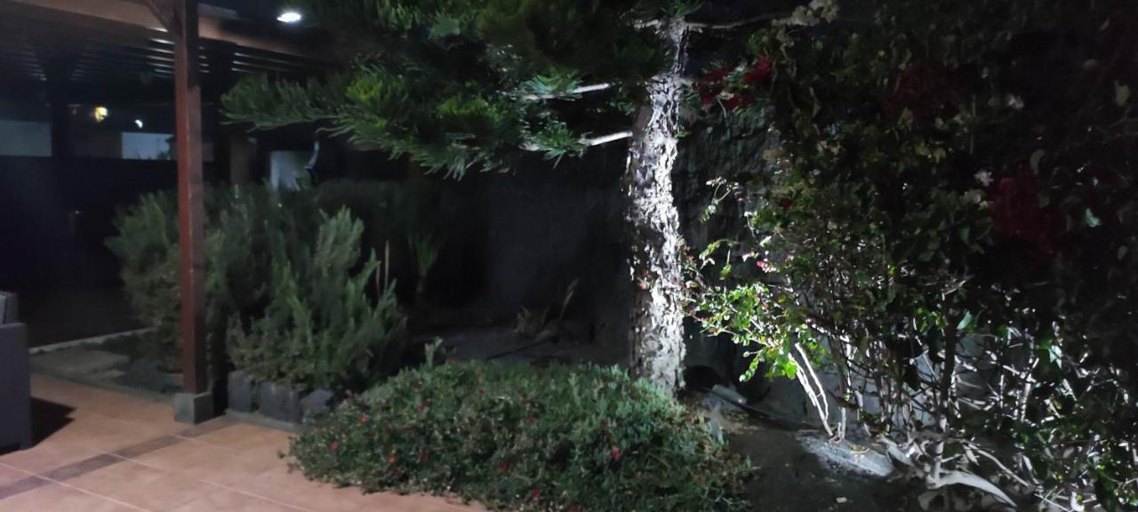 Villa Celeste 普拉亚布兰卡 外观 照片